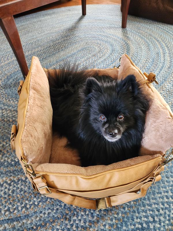 My dog loving his new car seat
