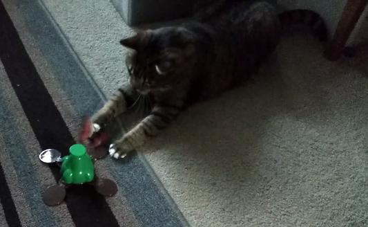 Pet zone fly by spinner interactive cat toy sales