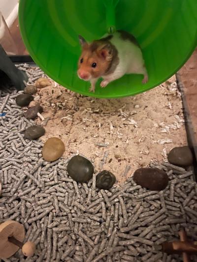 Sand needs to be changed haha