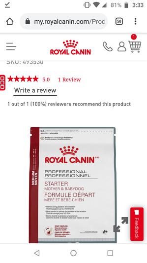 Medium mother and baby dog