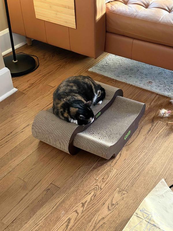 Mia during a siesta