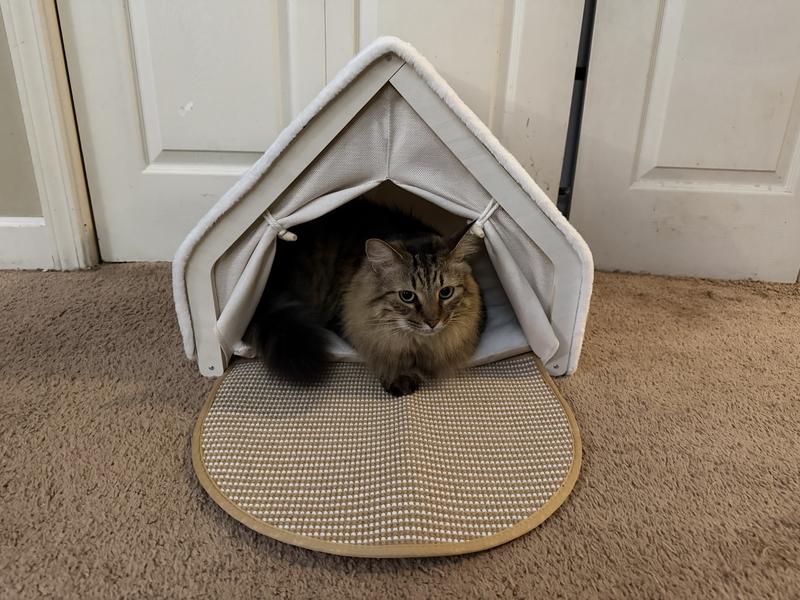 Cozy