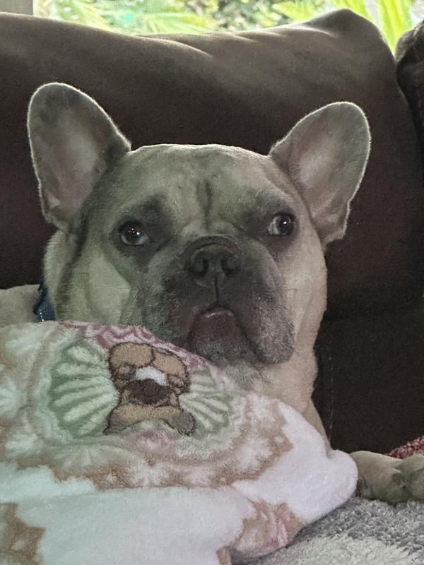 Sidekick - Remington