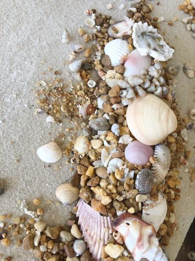 Malawi Mix blended with seashells and sand, dry look.