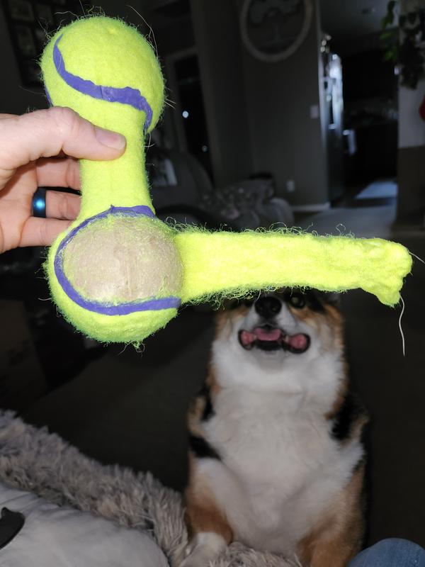 Disappointed. 1 minute after giving it to him.