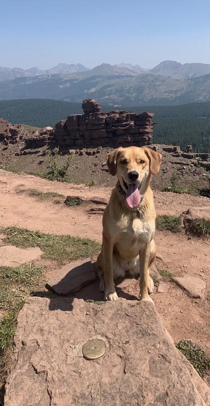 Miska atop a 13,000ft mountain