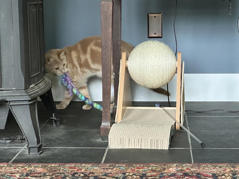 Trixie Sisal-Ball Mit Rassel – Für Katzen, ø 6 Cm, Unterstützt Krallenpflege