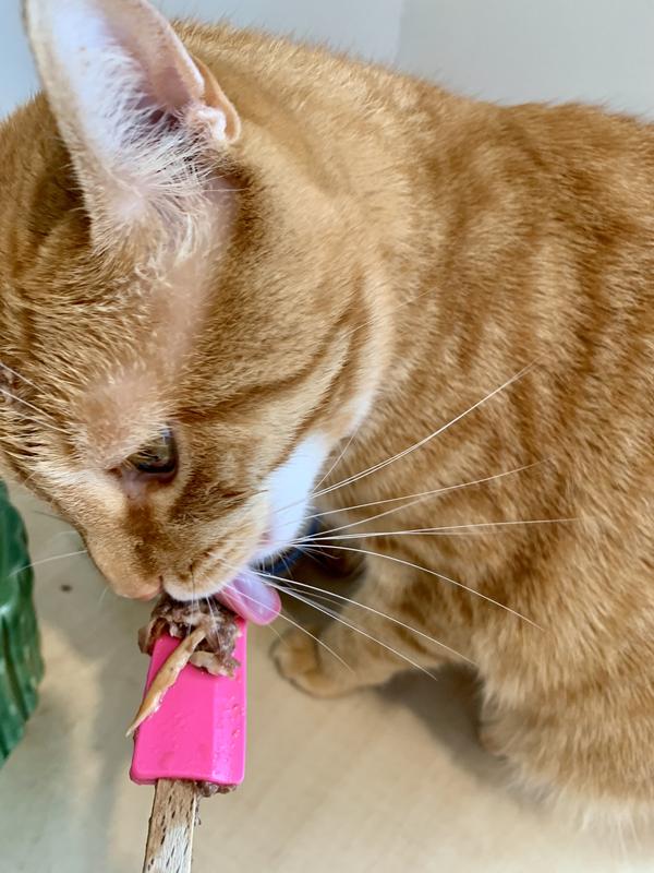 My cat loved the big chunks of meat in this medley