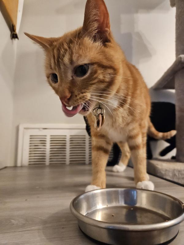 Wanted to make sure Tang cleaned the bowl!