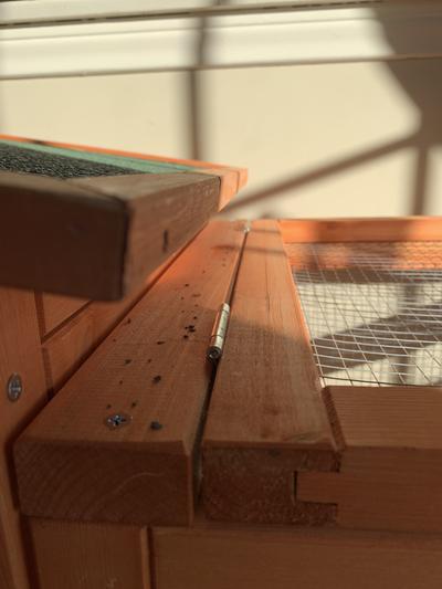 Debris from the roof