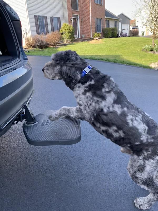 Twistep dog clearance hitch step