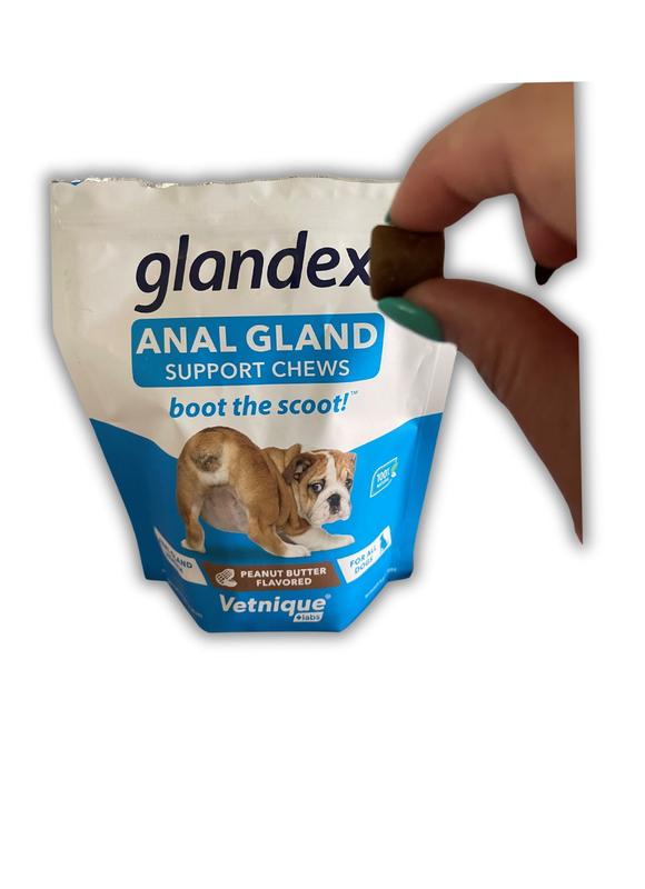 Glandex Anal Gland Support for Dogs - 120ct, Peanut Butter, exp 02/25, NEW  24606999957