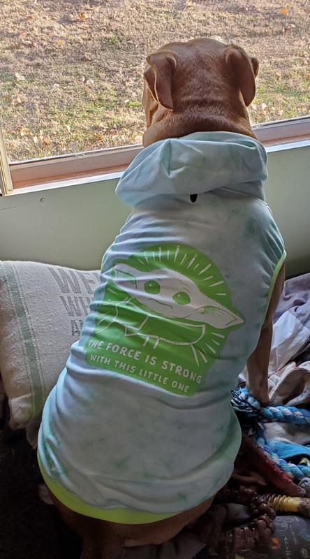 Back of shirt