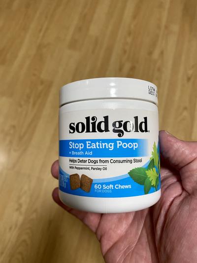 Stool Eating Deterrent For Dogs Solid Gold Stop Eating