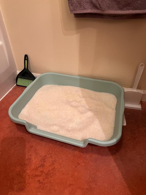 Senior Cats Best Litter For Kittens Reddit Product Reviews For KITTYGOHERE Senior  Cat Litter Box