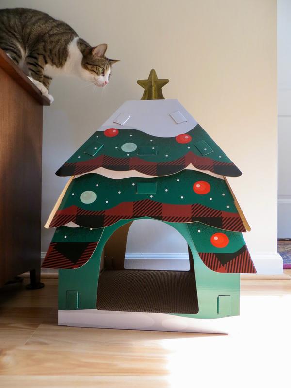Dolly is wondering how to remove the star.  She was not successful.  :)