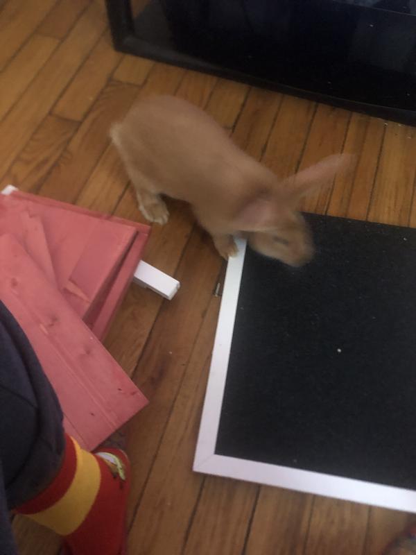 How do I put it together