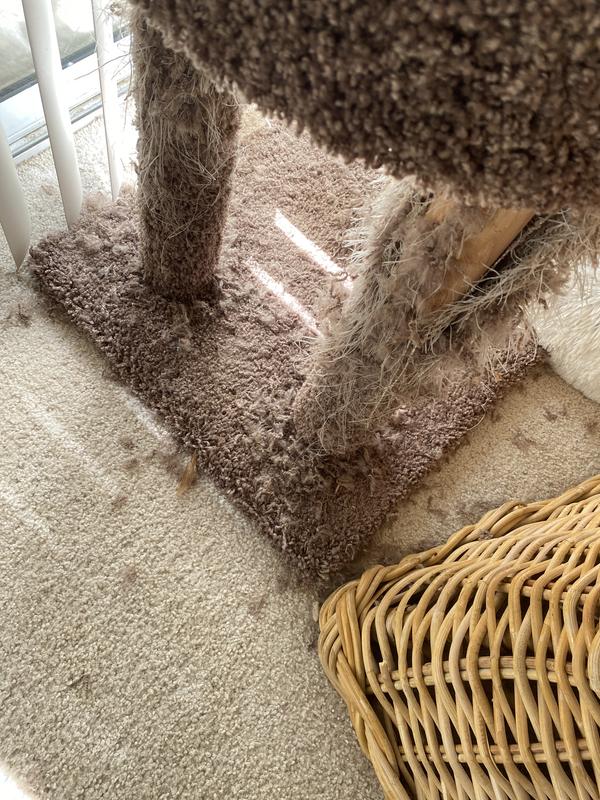 Shredded mess