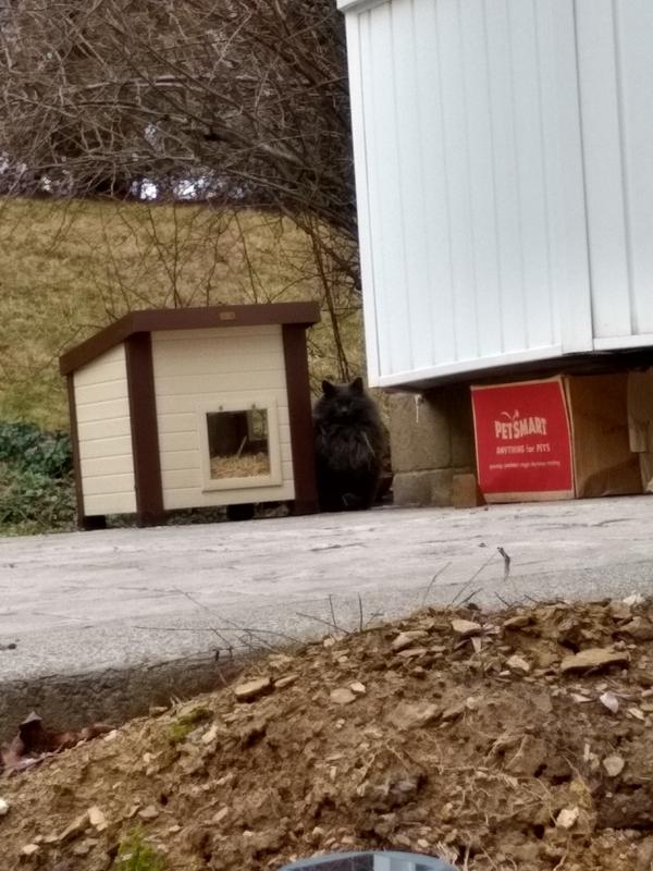 Petsmart outdoor shop cat shelter