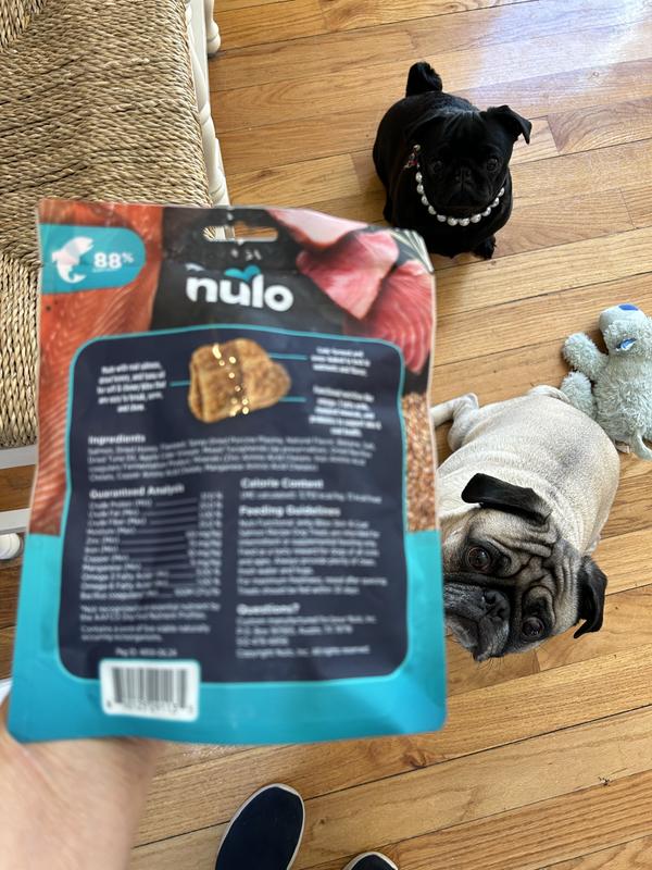 Back of bag and excited pugs