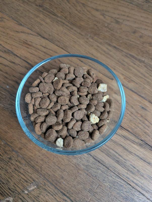 One serving of food including kibble and freeze-dried chicken pieces