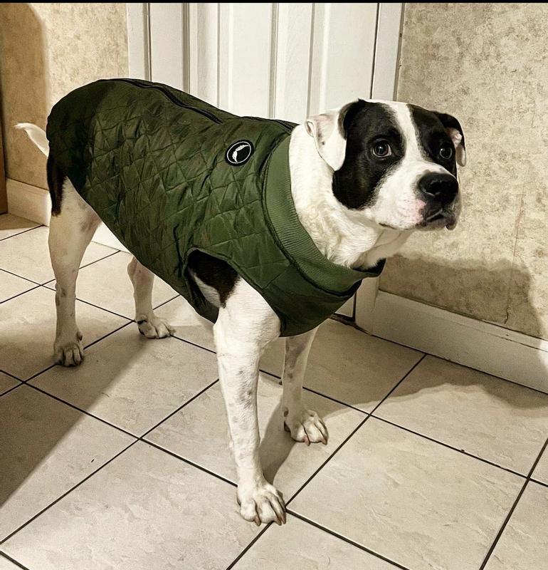 Showing off his new jacket