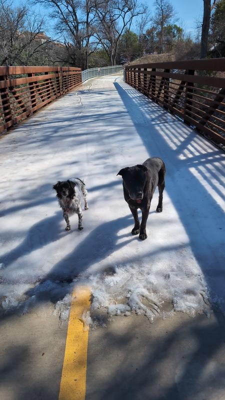 Gilligan on the left and Cash on the right