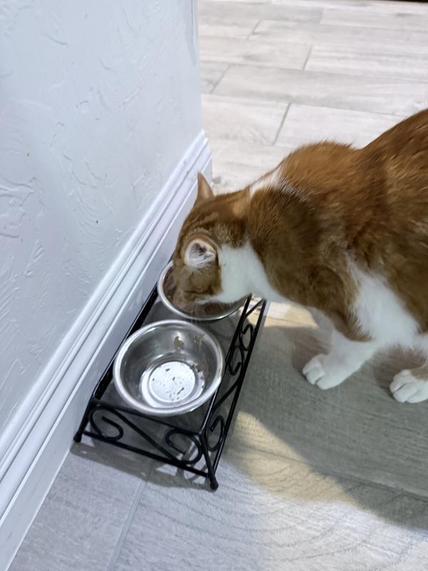 mmm, if you don't eat it, I will.