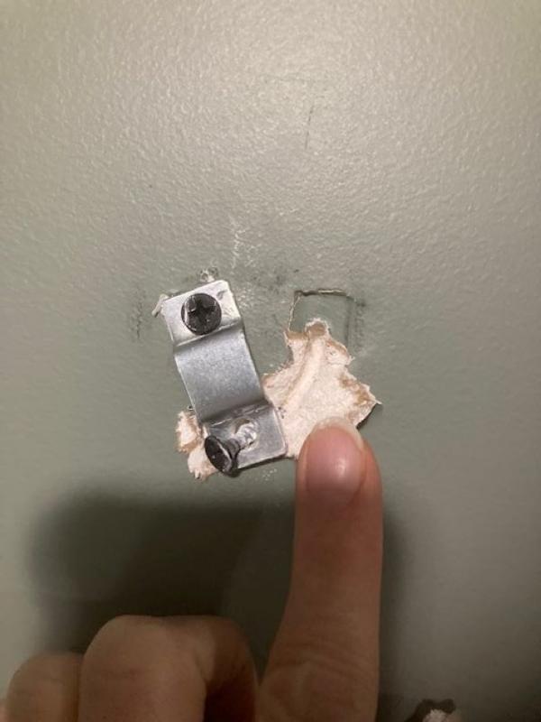 TRIXIE Lounger Wall Mounted Cat Shelves, Gray