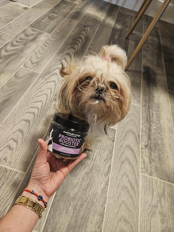 Lifesaver for My Dog’s Tummy Troubles