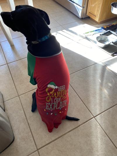 Perfect for Baby!!!!