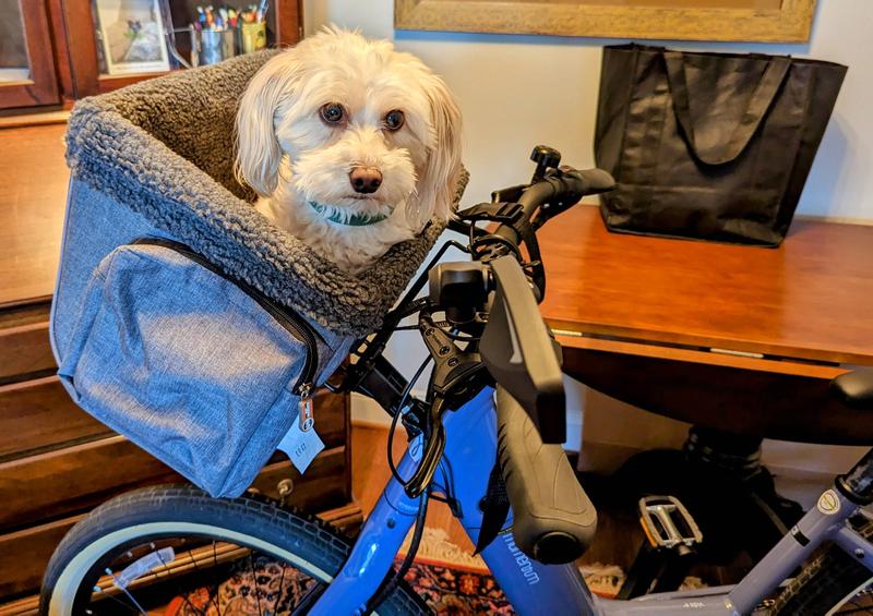 bike basket for 15 lb dog