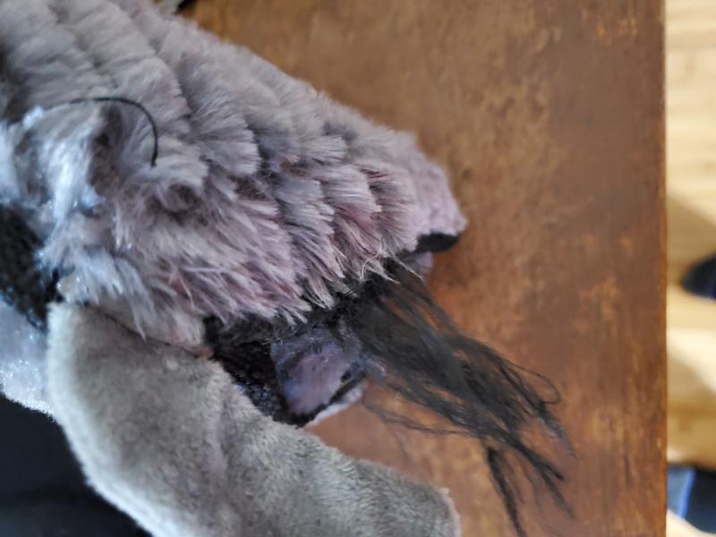 Stitching came undone