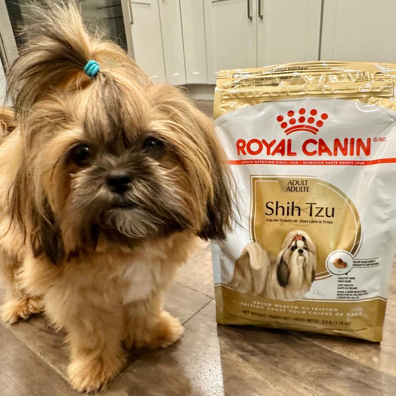 ROYAL CANIN Breed Health Nutrition Shih Tzu Adult Dry Dog Food 10 lb bag Chewy