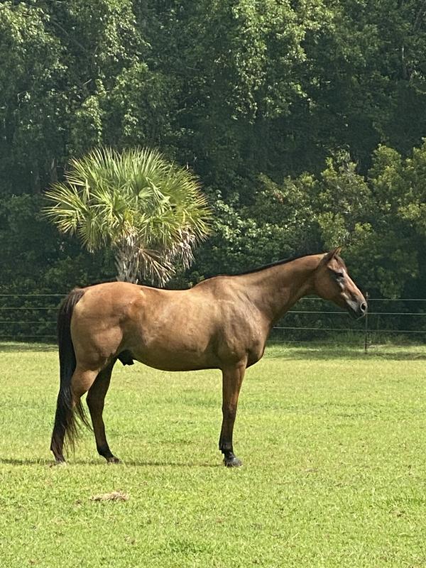 22 looks great Jim NE Cricket