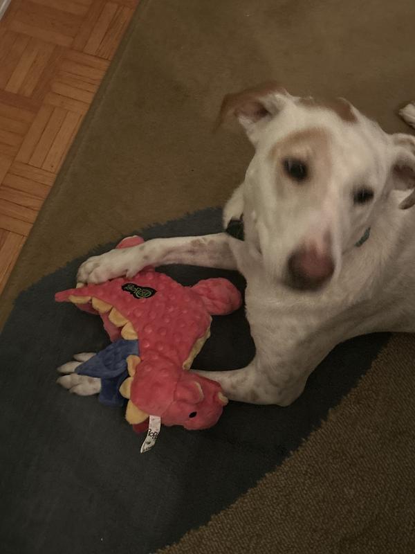 So happy with her new toy!