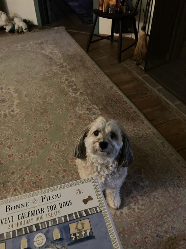 Sweet treats for a good girl