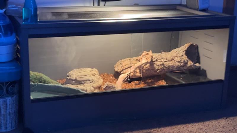 NEW AGE PET ECOFLEX Mojave Reptile Habitat, 36-in, Maple - Chewy.com