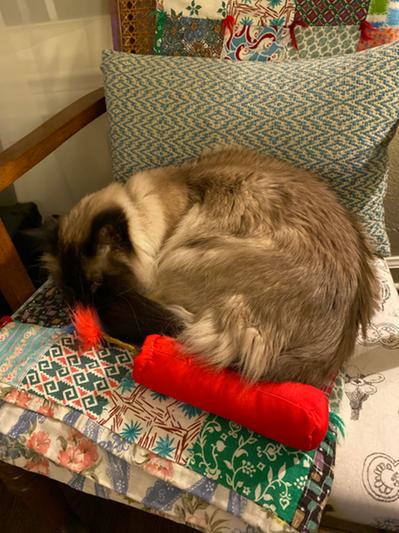 Product Reviews for FRISCO Crinkle Kitty Kaboom Kicker Cat Toy