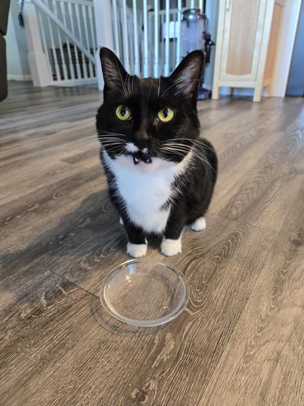 Not a drop left in the bowl.