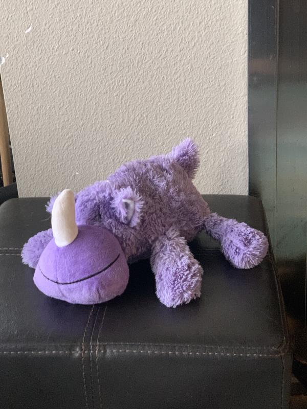 Chewed and still in one piece!