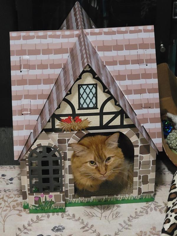 Percy climbed in the second I set it down for him