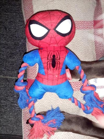 For Fan Pets Spiderman Plush Dog Toy