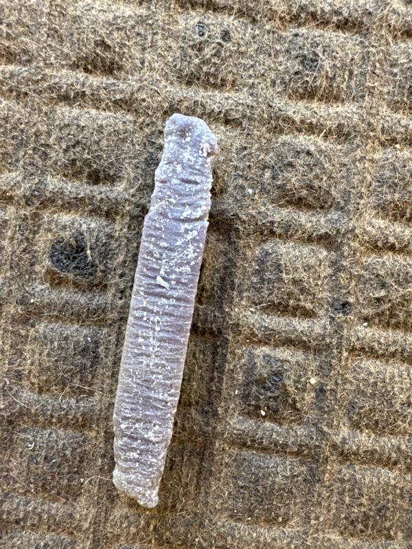 They have had this for 2 weeks. Why don’t they want???