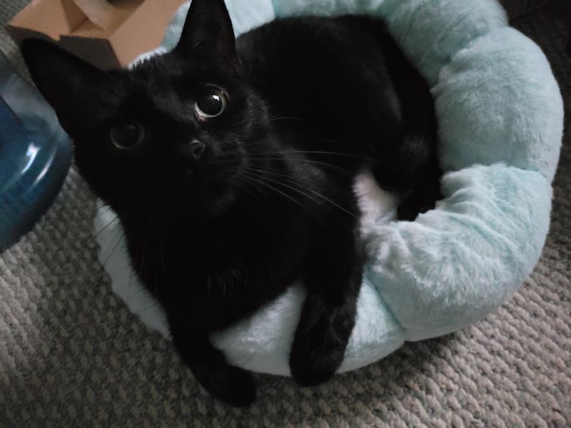 Twona tried it first!