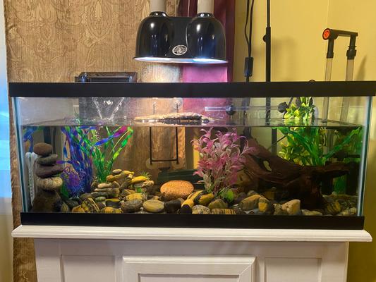 this is his tank.