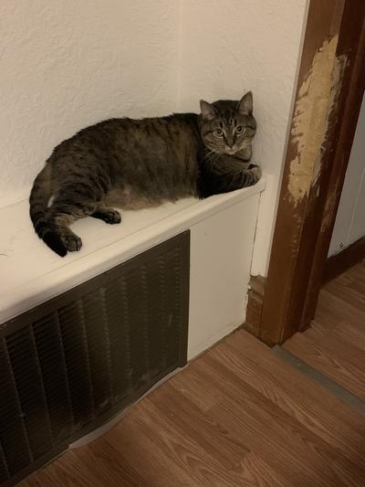 My Susie chillin