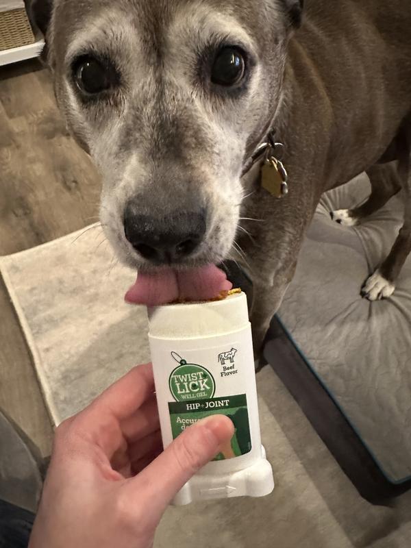 Scout trying it out!