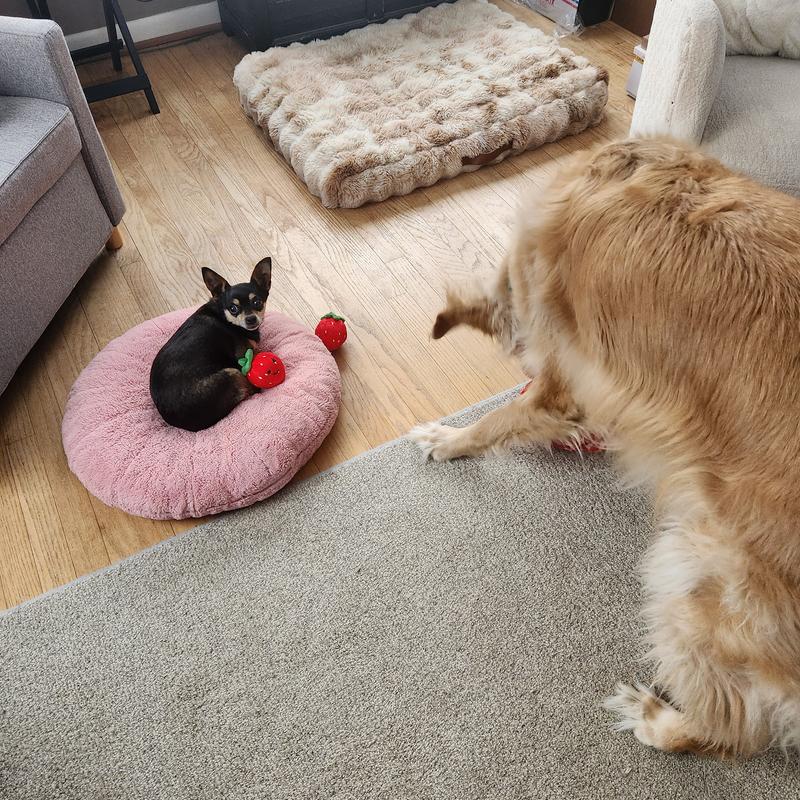 Tossing Strawberries to sister