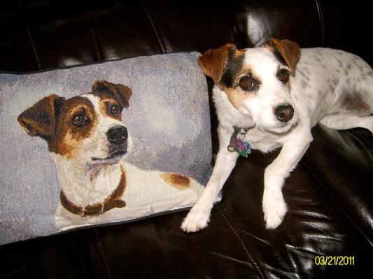 Love my pillow
